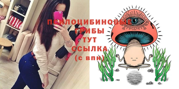 метадон Дмитриев
