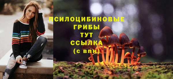 ГАЛЛЮЦИНОГЕННЫЕ ГРИБЫ Дмитровск