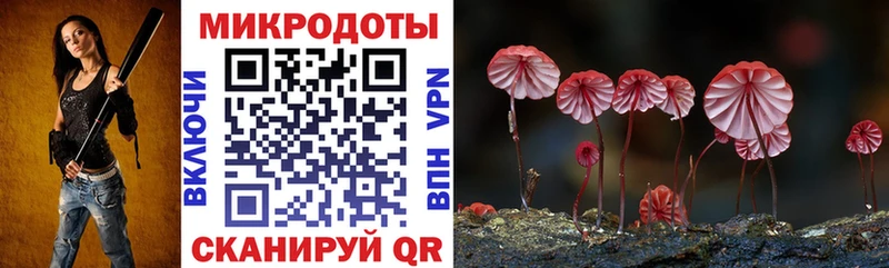 Купить закладки  Куровское  Псилоцибиновые грибы GOLDEN TEACHER 